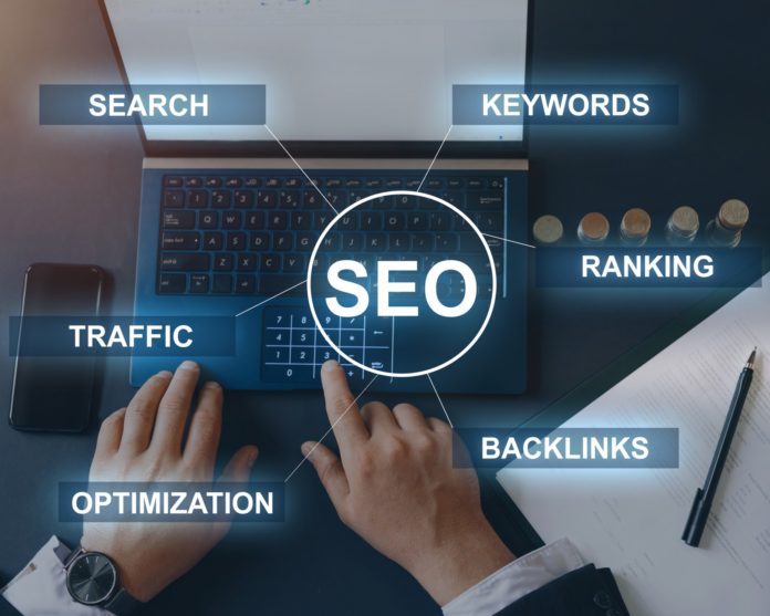 search engine optimization seo business developer